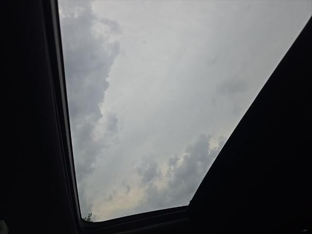 Image 15