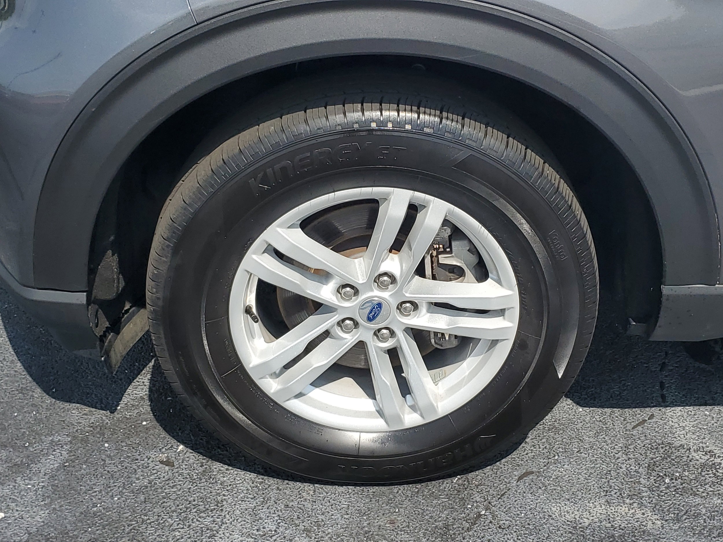 Image 7