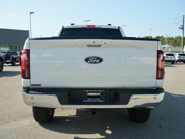 Image 5