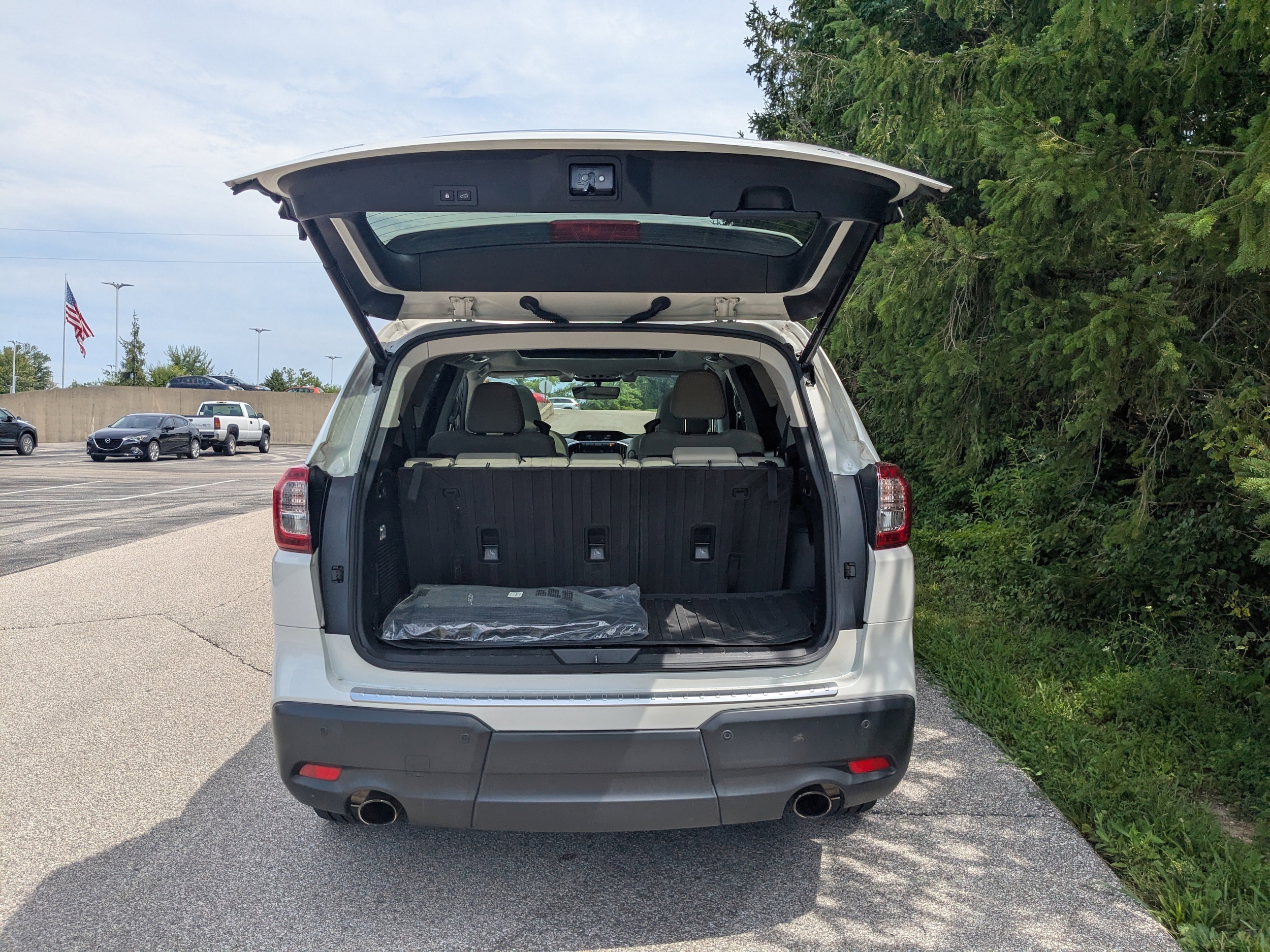 Image 19