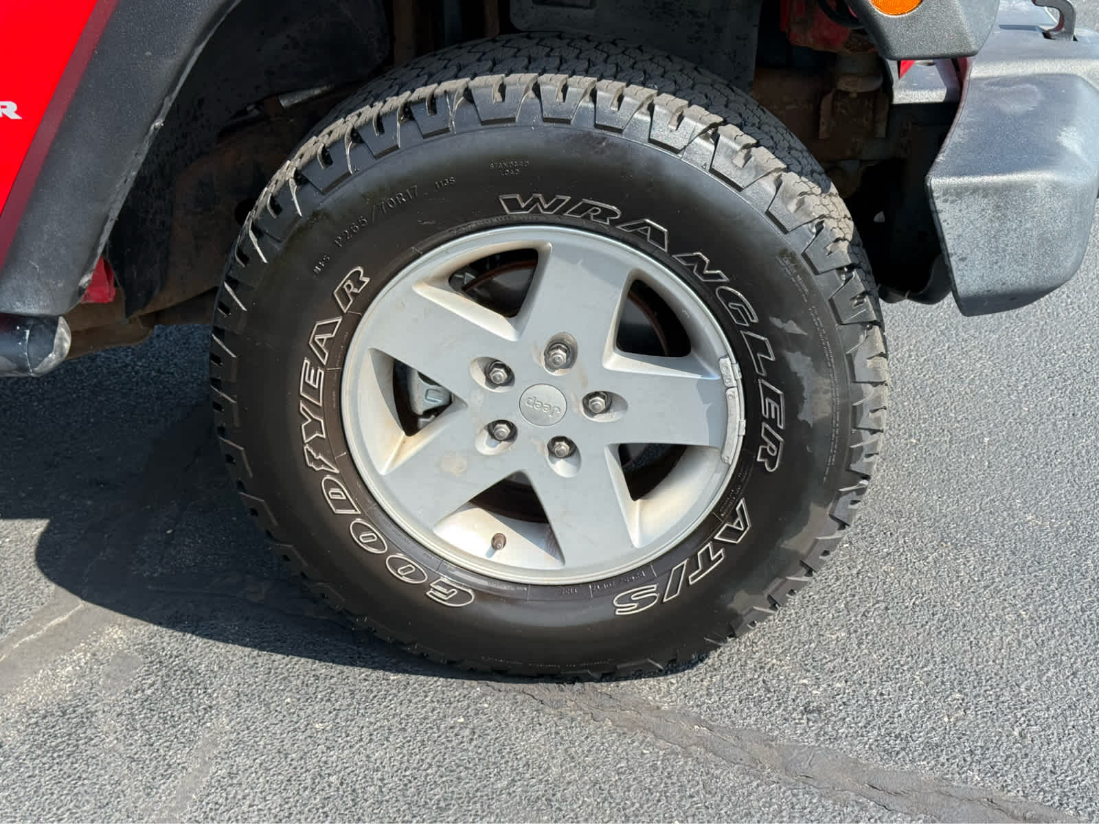 Image 11