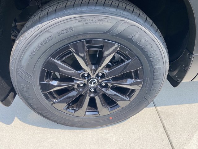 Image 8