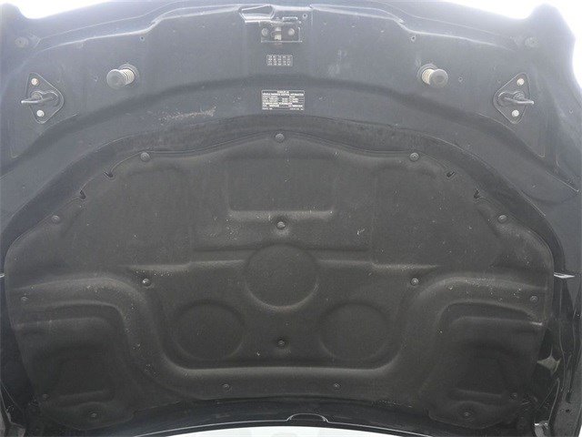Image 21