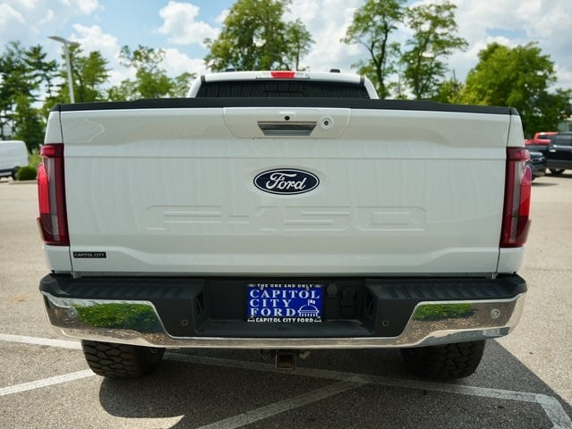 Image 5