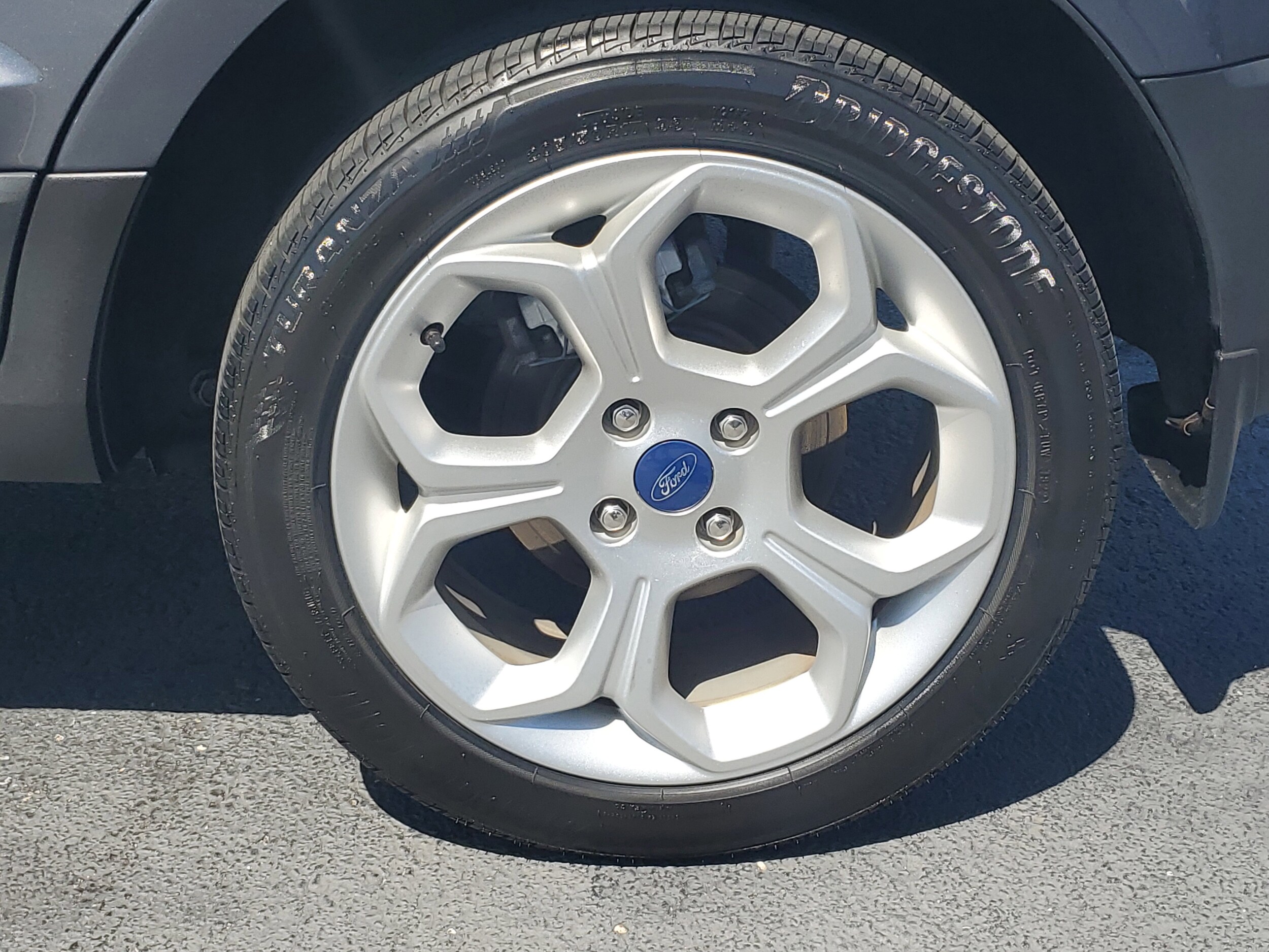 Image 6