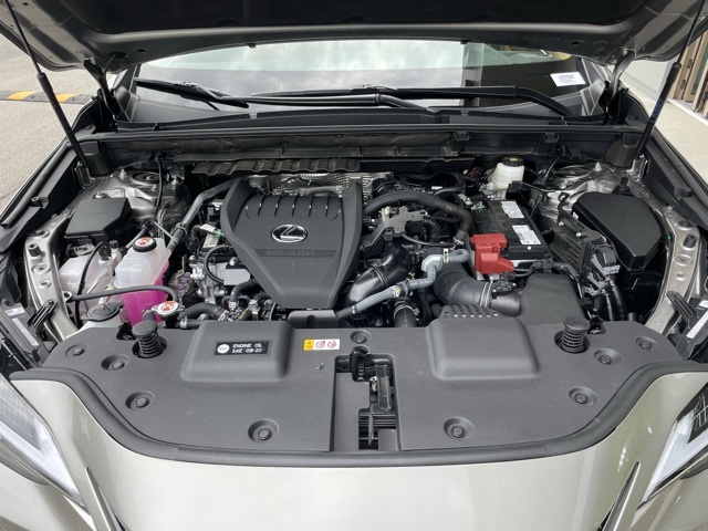 Image 8