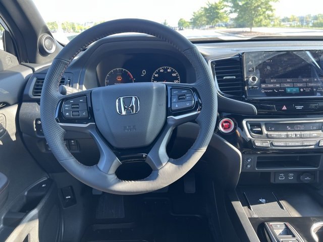 Image 15