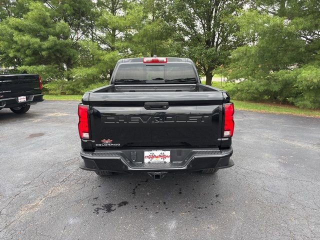 Image 6