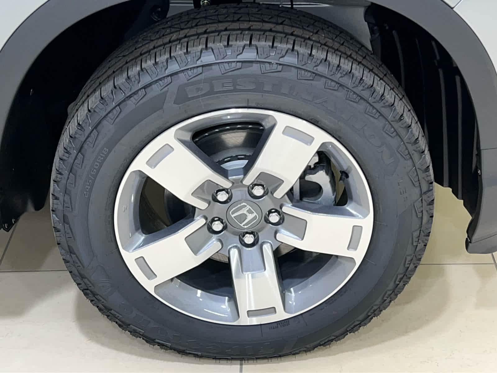 Image 5