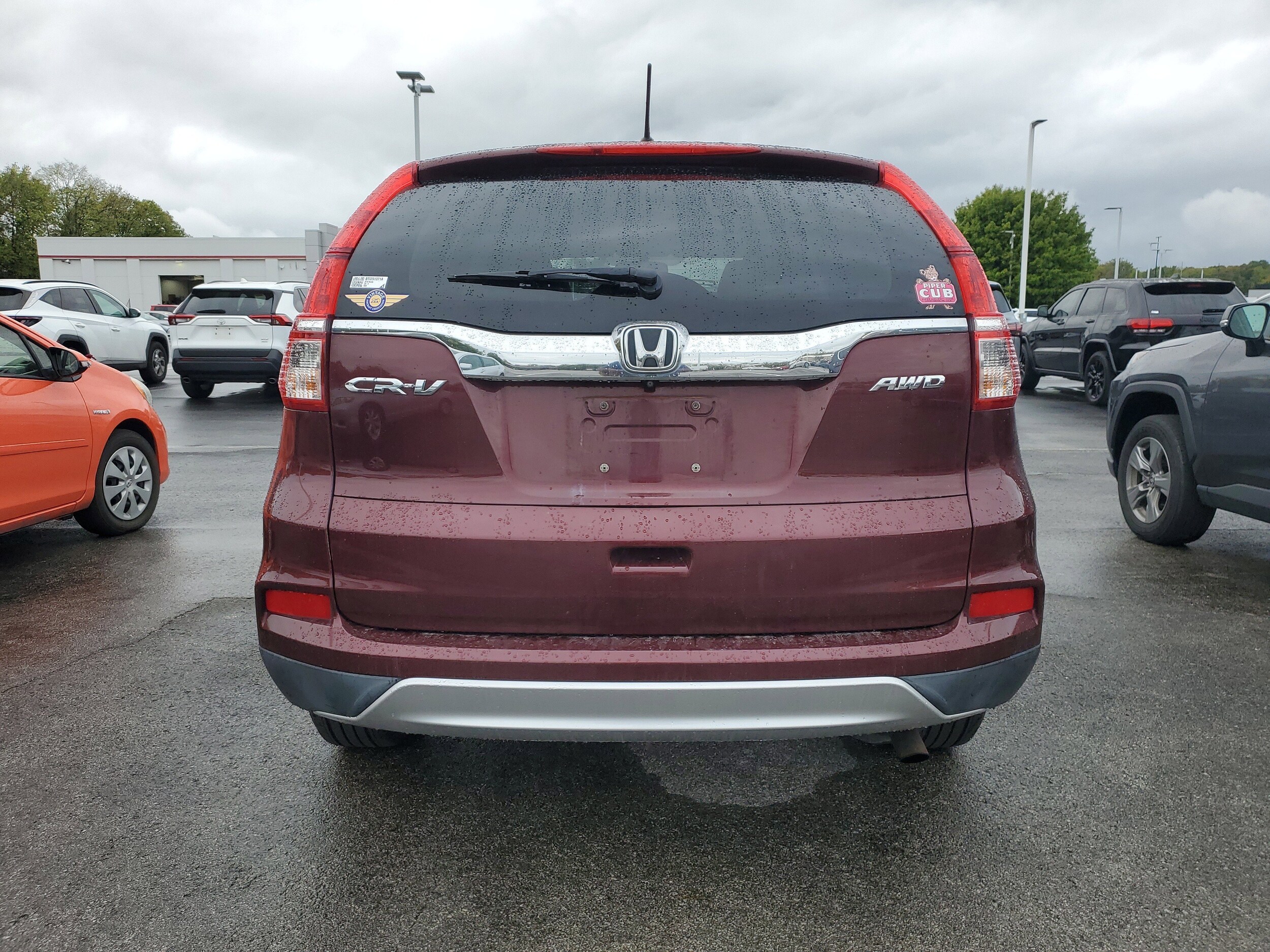 Image 7