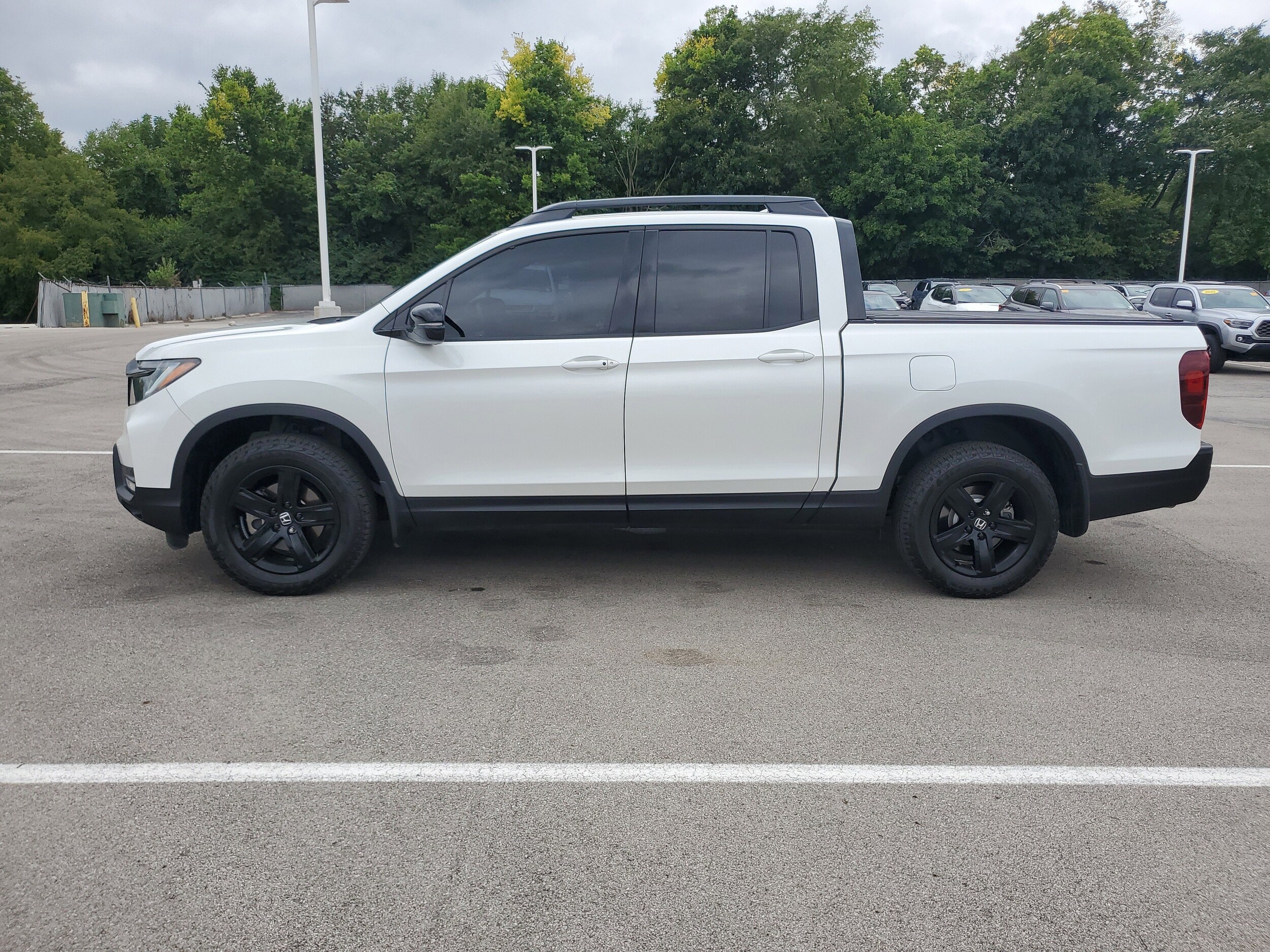Image 8