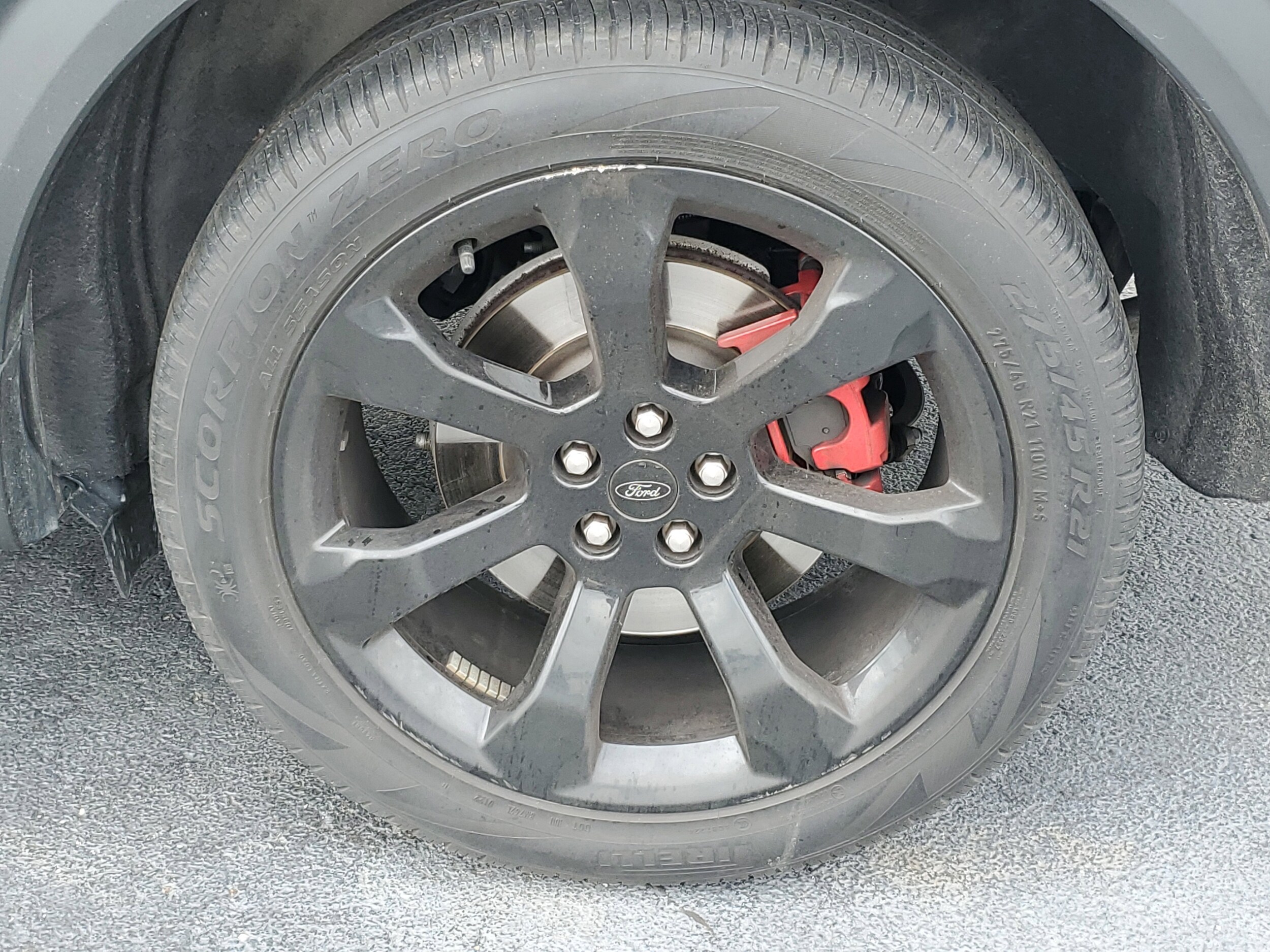 Image 7