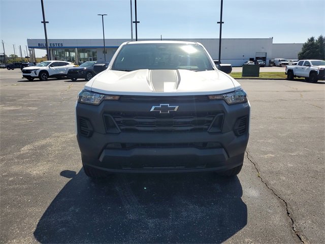 Image 8