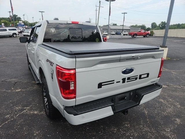Image 7