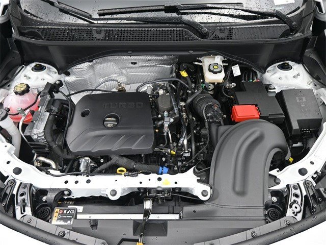 Image 22