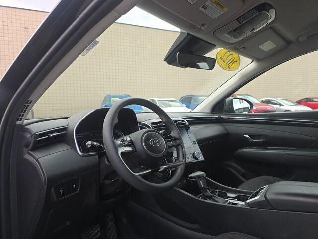 Image 11