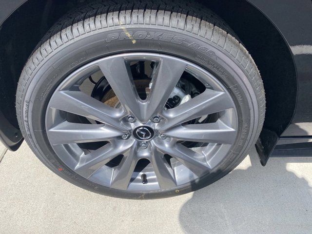 Image 7