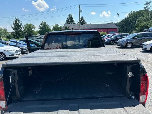 Image 6