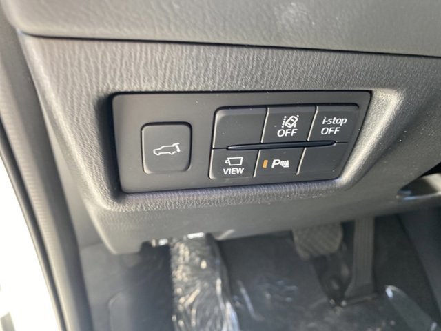 Image 19