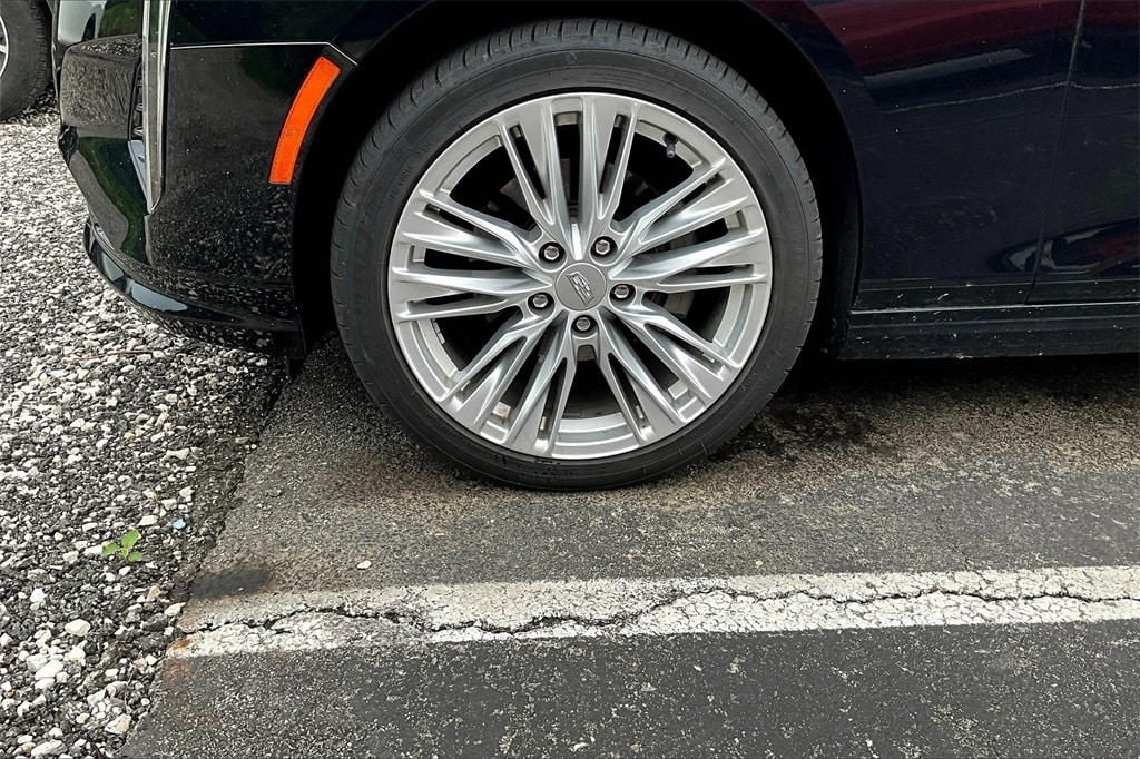 Image 8