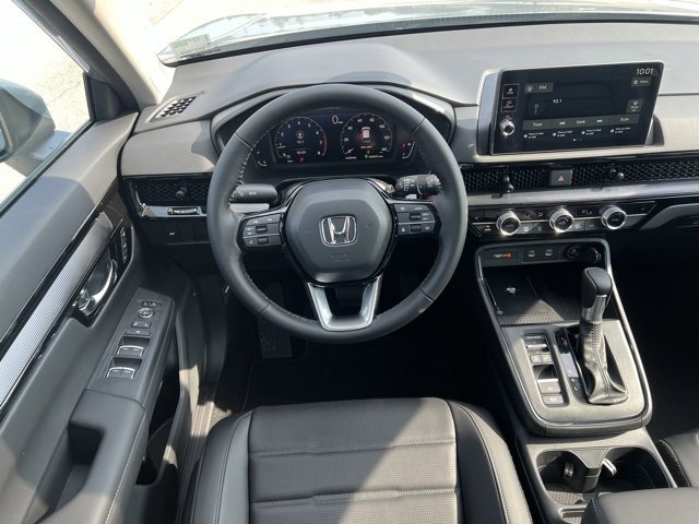 Image 15