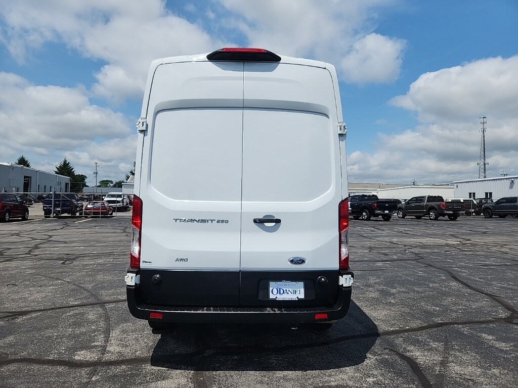 Image 6