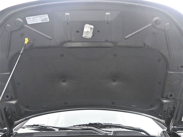 Image 21
