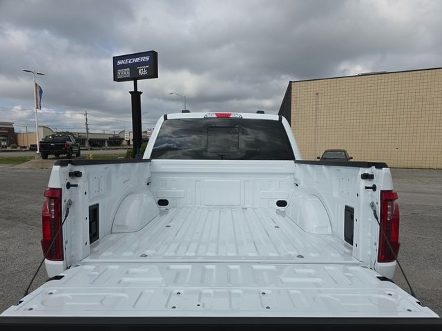 Image 7