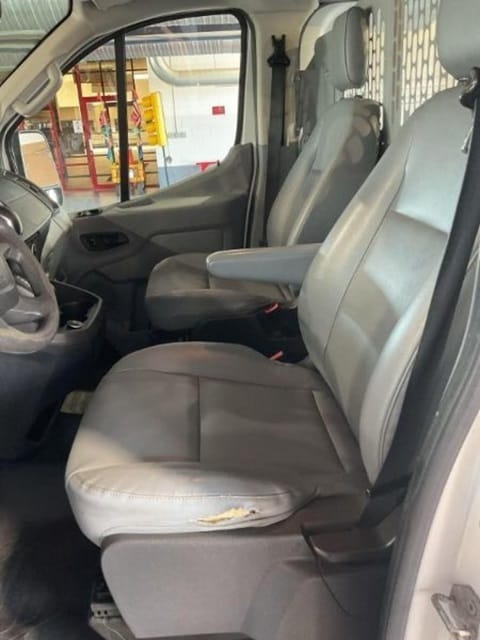Image 7