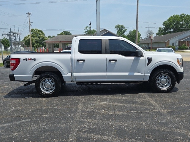Image 7