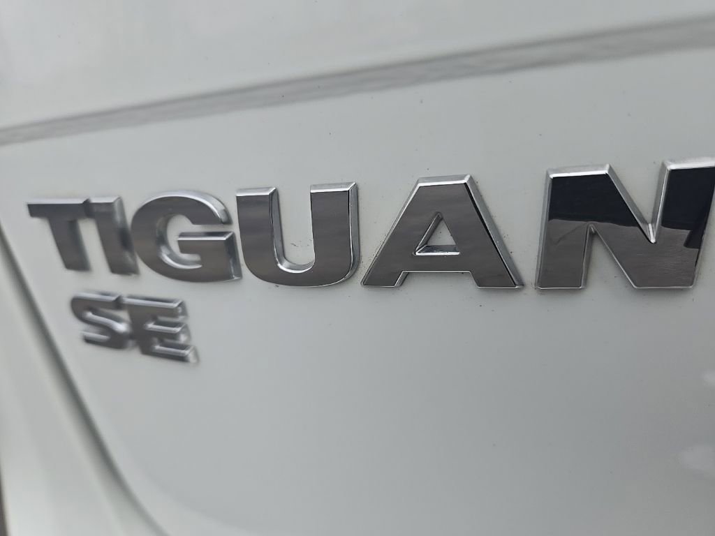 Image 11