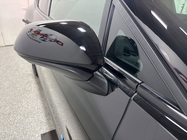 Image 11