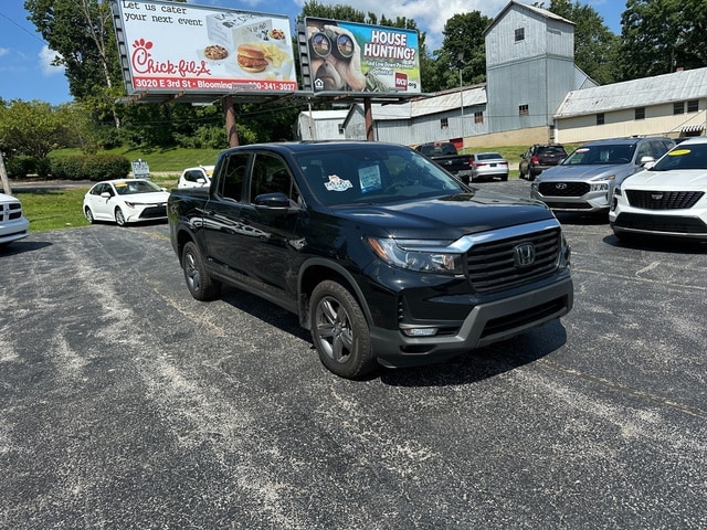 Image 4