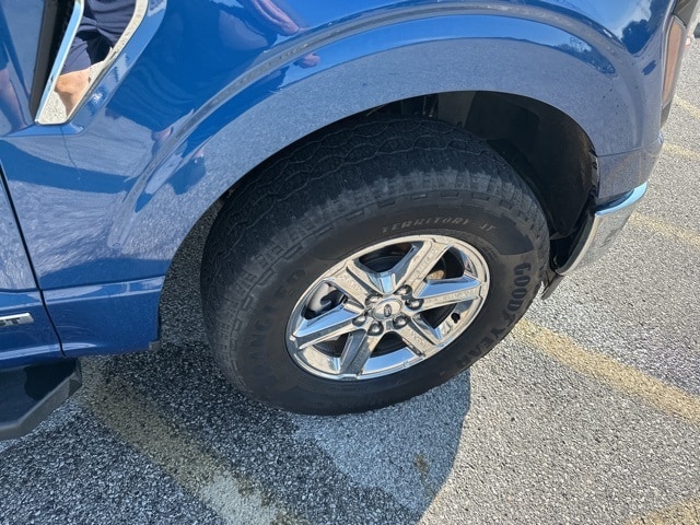 Image 9