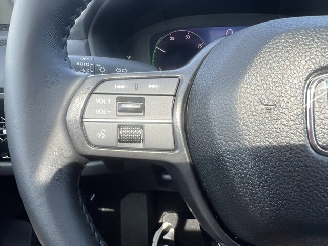 Image 17