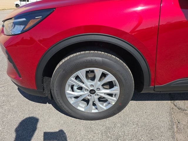 Image 12
