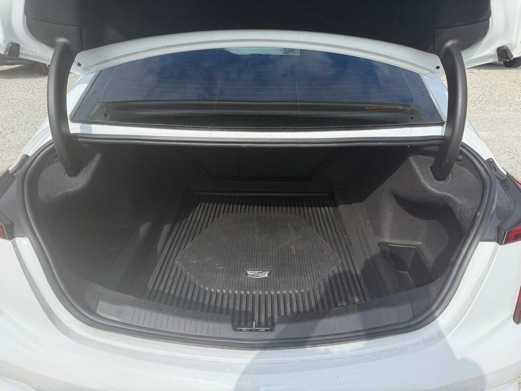 Image 11