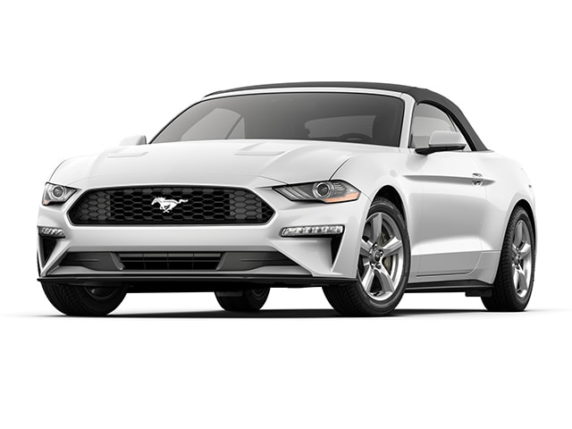Used 2019 Ford Mustang