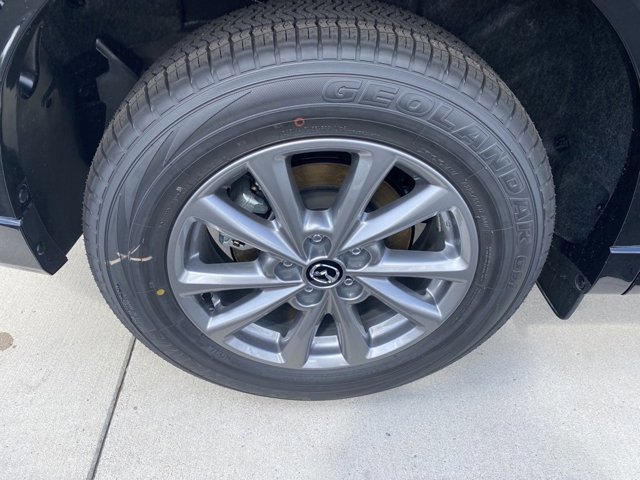 Image 8
