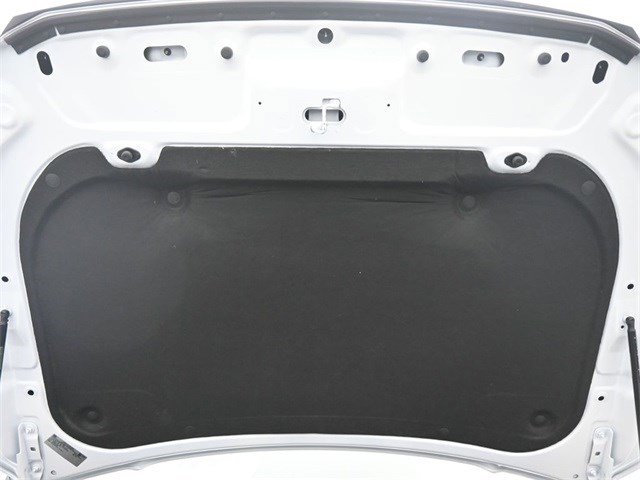 Image 21