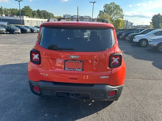 Image 4