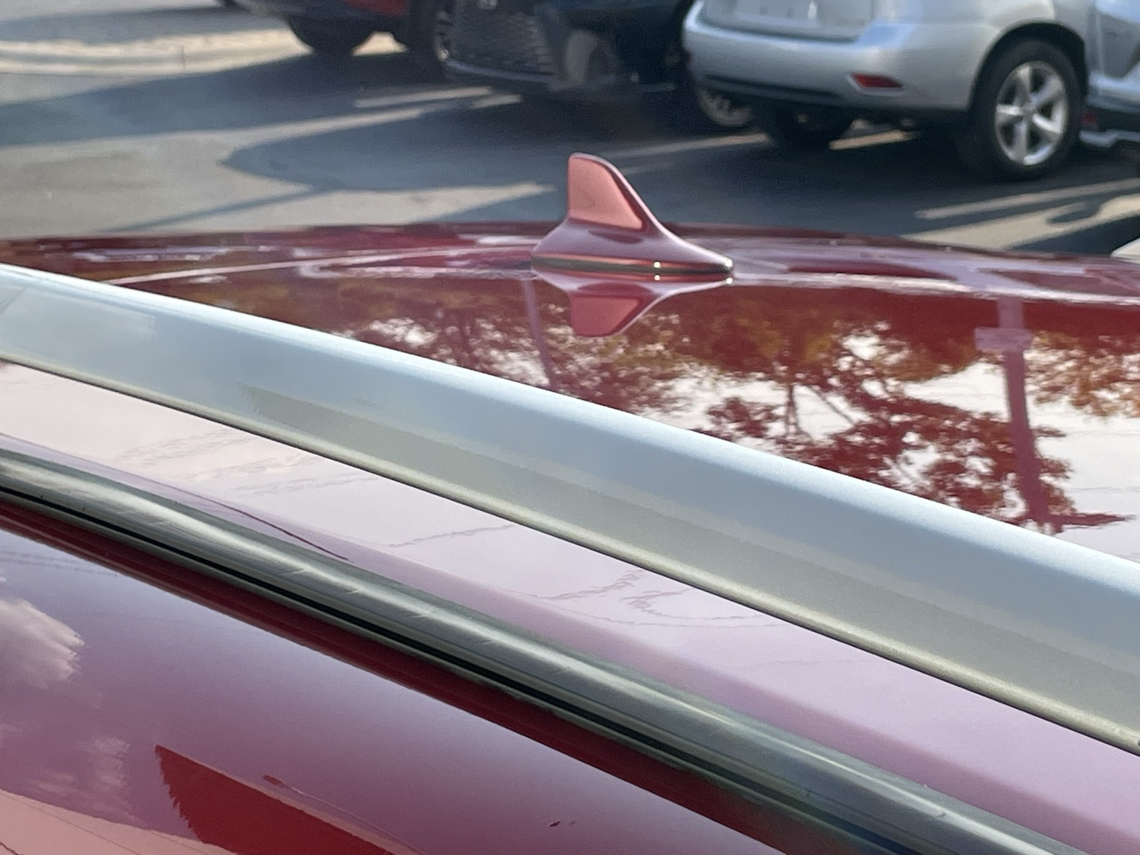 Image 8