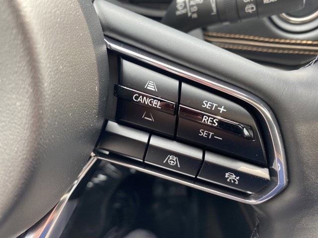 Image 21
