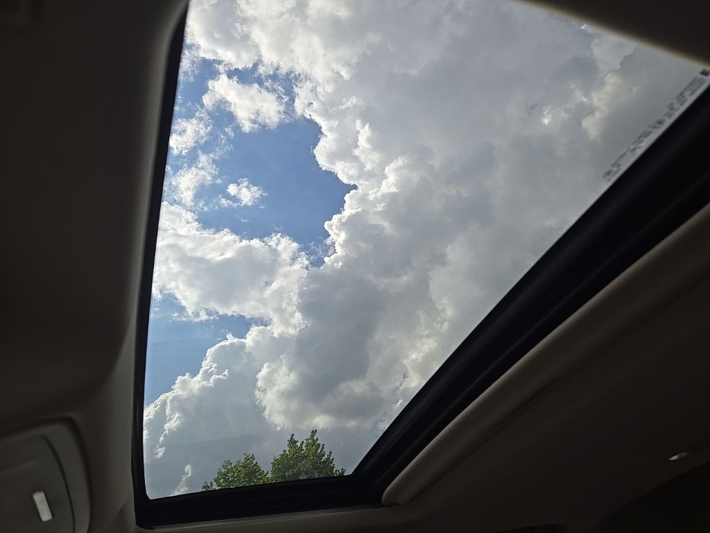 Image 17