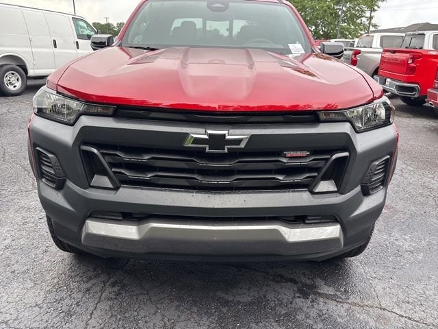 Image 8