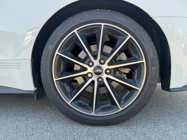 Image 8
