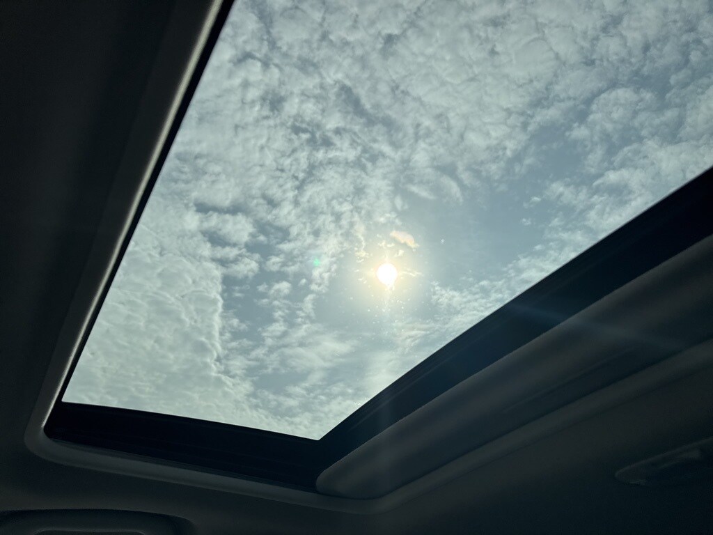 Image 21
