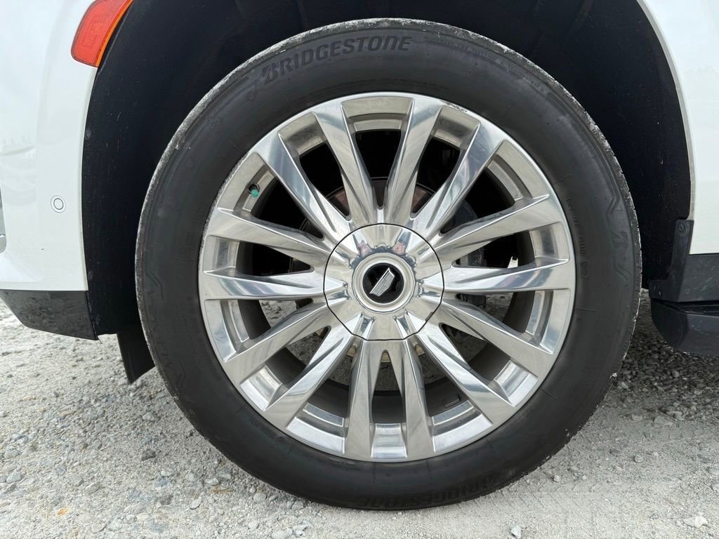 Image 12