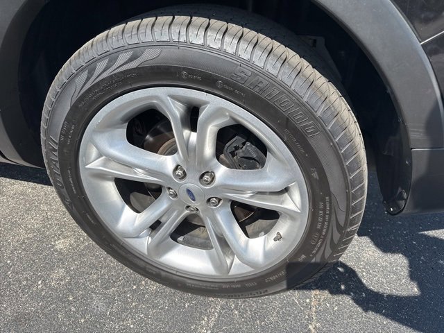 Image 11