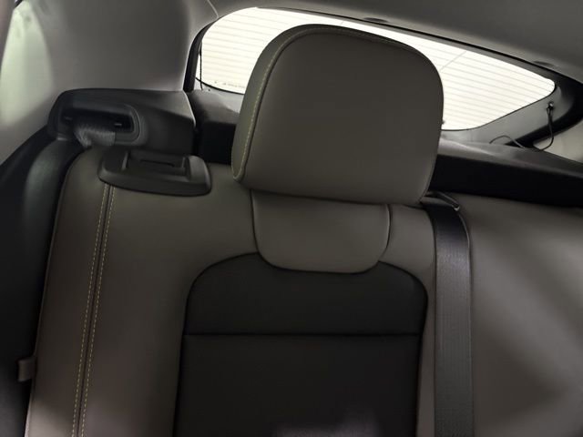 Image 21